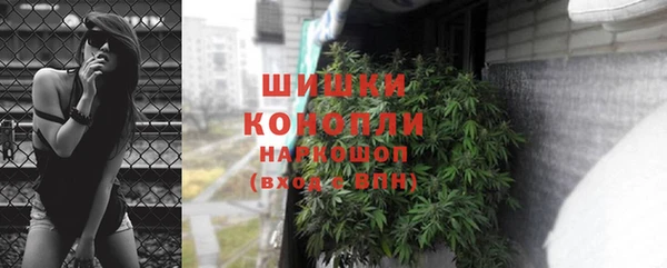 ALPHA PVP Козельск