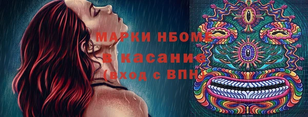 мяу мяу мука Кодинск