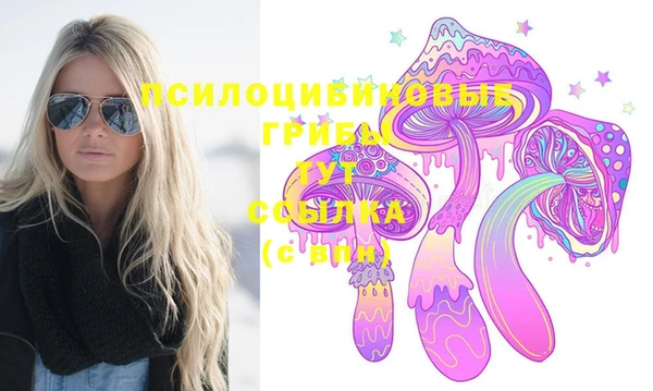 мяу мяу мука Кодинск